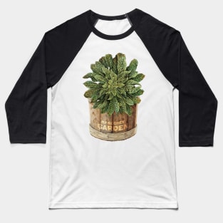 My Plants My Secret Garden Baseball T-Shirt